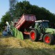Sommer-107