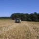 Sommer-192
